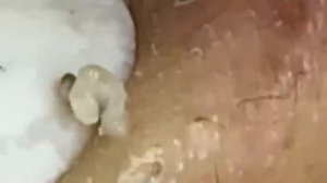 العناية بالبشرة الفاخرة اليومية للوجه مع وكالة ناسا #NASA1001