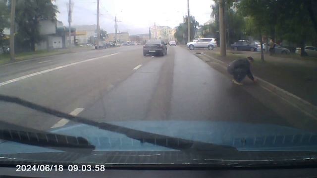 Утка с утятами перекрыли дорогу в центре города.