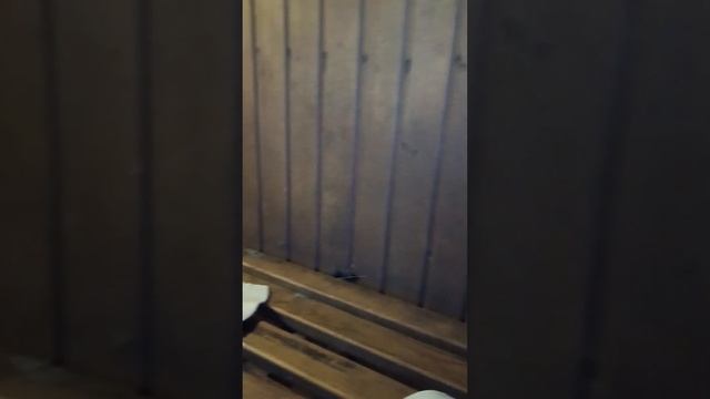 Баня для здоровья/ У гида Властелины #горячий_ключ смотреть онлайн