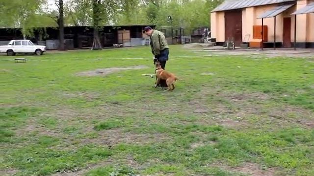 Альке 4 мес смотреть онлайн
