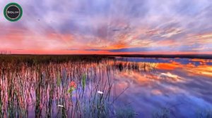 Рукия   Мухаммад аль Люхайдан