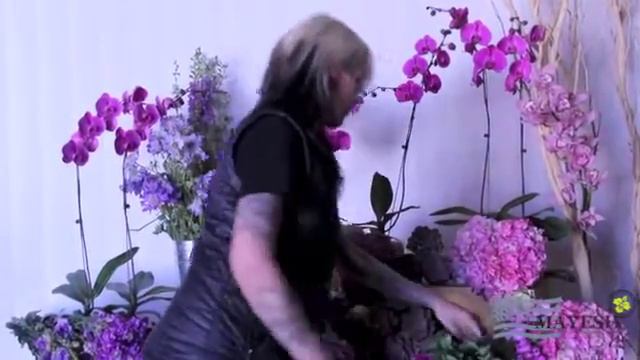 January 2014 Wholesale Flower Product Showcase: Radiant Orchid смотреть онлайн