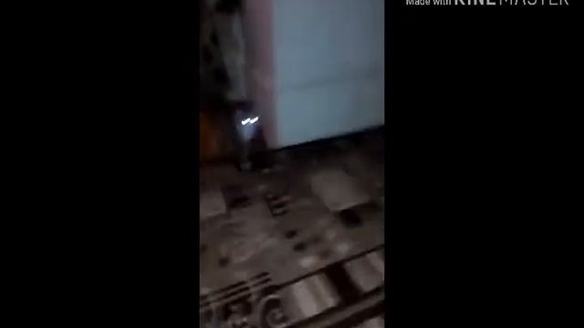 Стеша, бесится смотреть онлайн