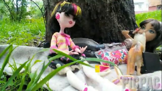 Пикник смотреть онлайн