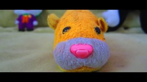 КАНАЛА СВИНКА БУЗЯ БОЛЬШЕ НЕТ ! Его ЗАБЛОКИРОВАЛИ!!! Свинки Бузи Больше НЕТ!!! Удалили Морская Вера