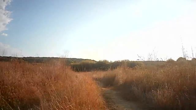 20 честных фраз, которые нам нужно чаще говорить друг другу. смотреть онлайн