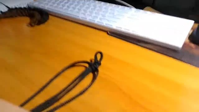 БРАСЛЕТ ДЛЯ ВЫЖИВАНИЯ!!!/ СВОИМИ РУКАМИ!!!/ за копейки смотреть онлайн