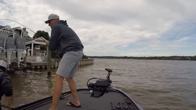 FLW BFL Chesapeake Bay Stop Number 2! Bass Fishing Tournament смотреть онлайн