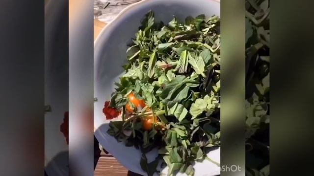 Весенний салат с одуванчиками ,рецепт от Апашки ,восточные рецепты , смотреть онлайн