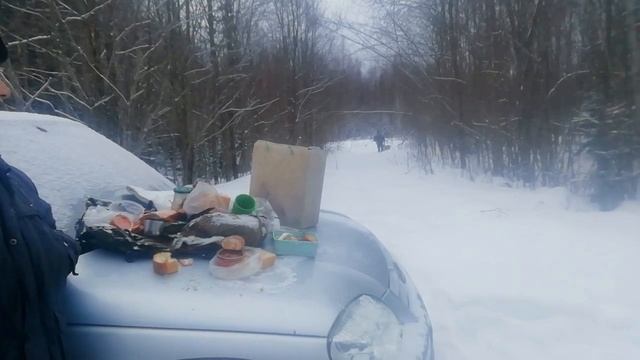 Прогулка по зимнему лесу 2 смотреть онлайн