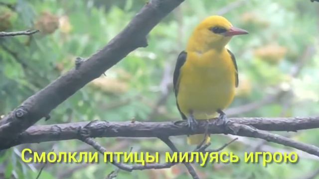 РАДУГА смотреть онлайн