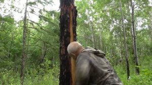 Как укрыться от дождя в тайге.  Канал ТАёжная Обитель Николая Абоимова