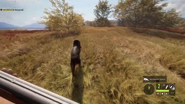 theHunter: Call of the Wild+DLC/Часть 10: Лейтон/На русском/Прохождение/Гайд/Ответы на вопросы. смотреть онлайн