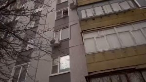 Момент с канала Макс Ващенко ( Виолетта прыгает с окна)