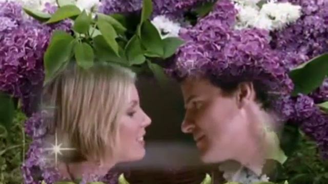 РАСЦВЕЛА СИРЕНЬ ЧЕРЕМУХА В САДУ medium смотреть онлайн