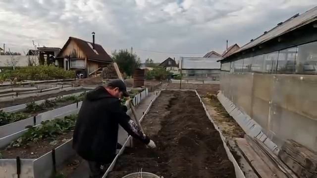 Ого какая морковь выросла! Жарим купаты.Приготовили грядку к зиме. смотреть онлайн