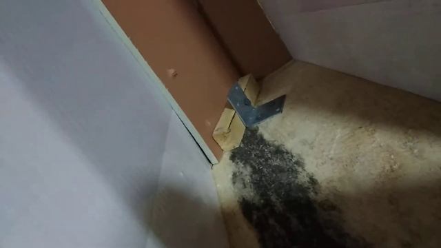 Бункерная кормушка из подручных материалов // кормушка для кур // кормушка для перепелов смотреть онлайн