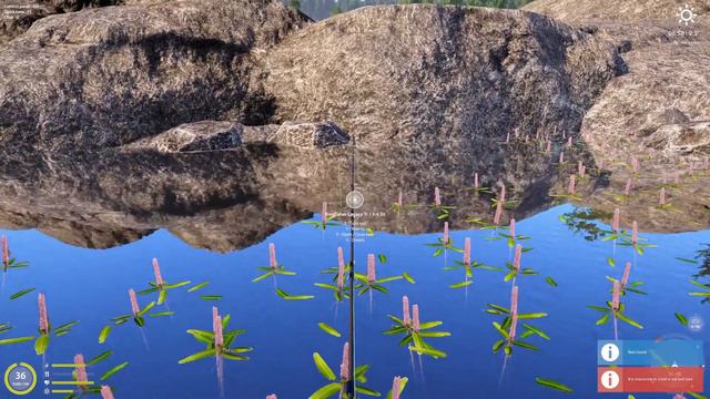 Gibel and Crucian Trophy Spot | Ladoga Lake | April 3 2022 смотреть онлайн