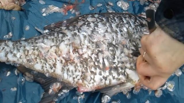 как быстро почистить рыбу ложкой♡ смотреть онлайн