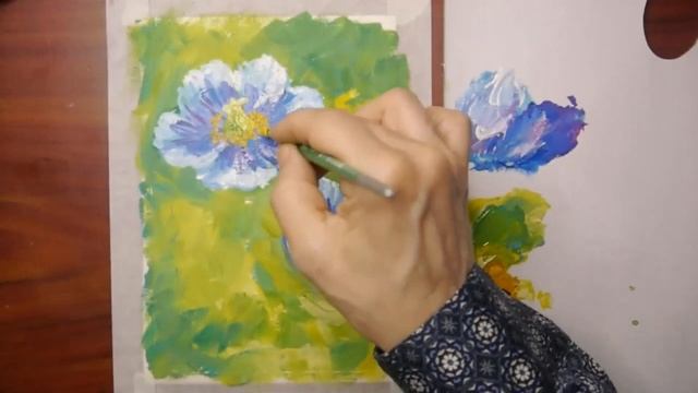 Гималайские маки // Himalayan poppy смотреть онлайн