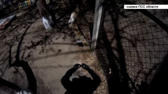 Поисково-спасательная служба спасла вороненка смотреть онлайн