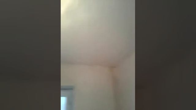 Ремонтная Фантазия и Умелые Руки