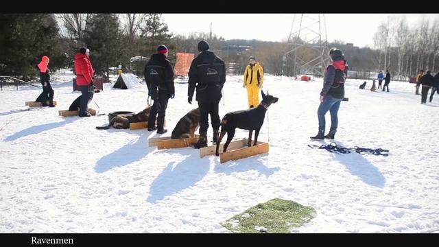 Обзор кинологического центра Don-Breme смотреть онлайн