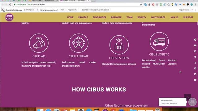 Обзор ICO CIBUS смотреть онлайн