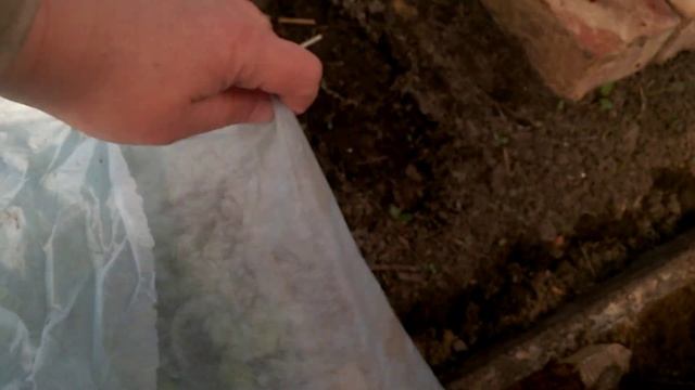 Холод -10 замёрзла ли рассада в теплице. смотреть онлайн