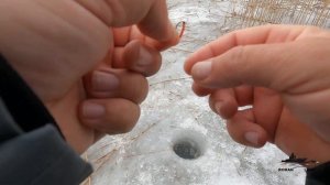 Ловля КАРАСЯ ЗИМОЙ со ЛЬДА ! Рыбалка в МАРТЕ на мормышку .
