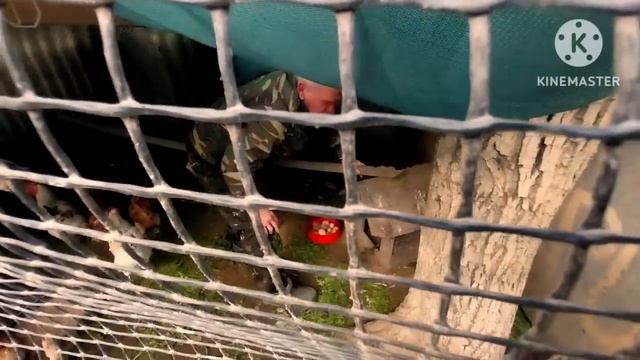 переезд в Сибирь с Юга/родители собирают вещи/дочь собралась в Сибирь/занимаюсь посадкой огорода смотреть онлайн