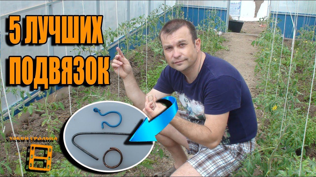 5 СУПЕР ПОДВЯЗОК ПОМИДОРОВ (ОГУРЦОВ) БЫСТРО И ЛЕГКО ОТ НАШИХ ЗРИТЕЛЕЙ. САД (ОГОРОД) И ТЕПЛИЦА смотреть онлайн