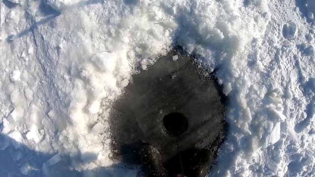 УДАЧНАЯ РЫБАЛКА НА ХАПУГИ...ТОЛЬКО ПРИЕХАЛ И СРАЗУ ВЫХВАТИЛ ХОРОШЕГО САЗАНА... смотреть онлайн