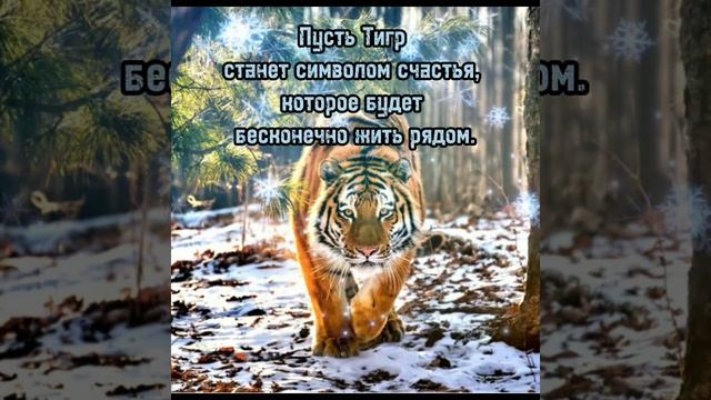 2022 год - год тигра