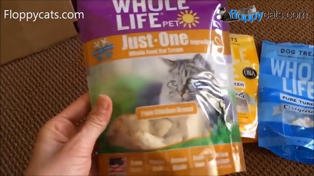 Best Cat Products - Floppycats Favorite Cat Product Video - Cat Product Review смотреть онлайн