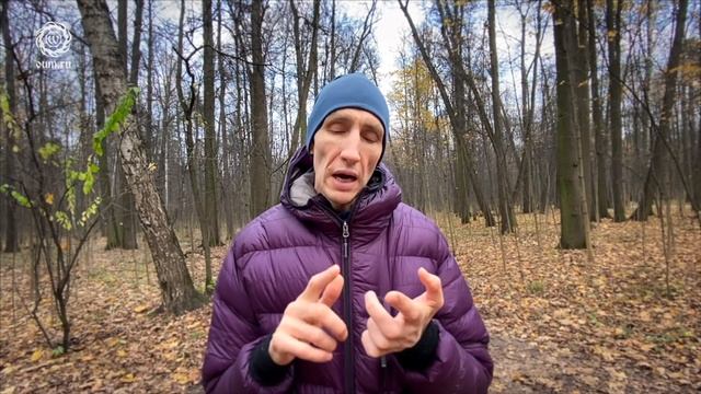 Как обуздать свой ум. Сутры - опора на Пути. Андрей Верба смотреть онлайн