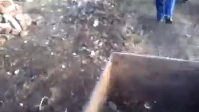 Не хухры мухры. смотреть онлайн