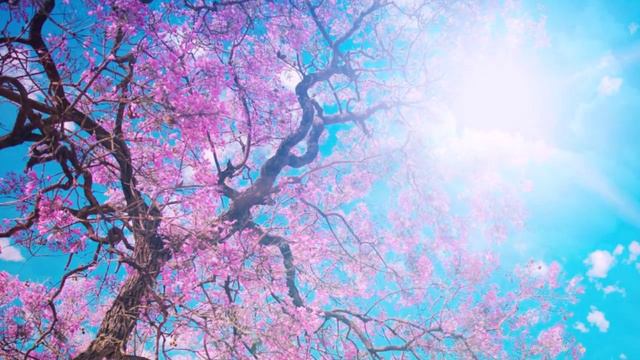 Помним...Любим... Ты всегда в нашем сердце! смотреть онлайн