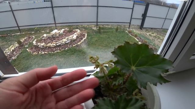 Жизнь в станице. Одна в доме. Веду хозяйство ежедневно. смотреть онлайн