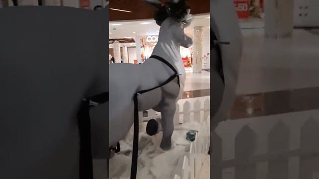 Павлодар Батырмол 2021 - 2022 год