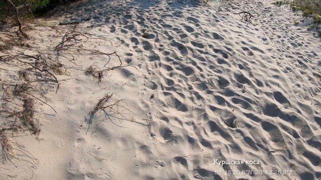 Kaliningrad region [Калининградская область] смотреть онлайн