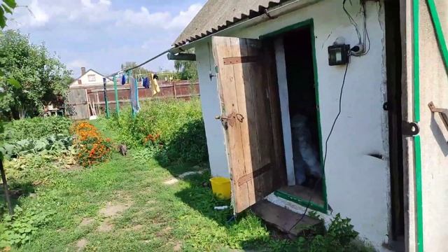 НЕ ХОЧУ ОСУЖДЕНИЙ И ПОЗОРА/МОЕМ КОВРЫ НОВОЙ МОЙКОЙ/ПЕРЕЕЗД В РОССИЮ смотреть онлайн