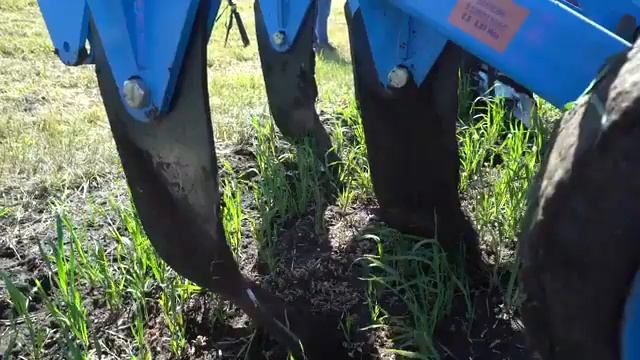 Плуг чизельный SVAROG ПЧ 4,5 в работе стойки Параплау смотреть онлайн