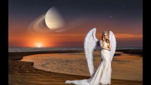 Наутилус Помпилиус Клетка