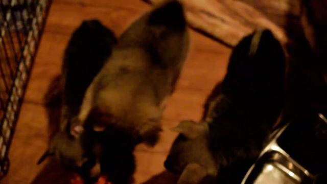 DSC 1163 смотреть онлайн