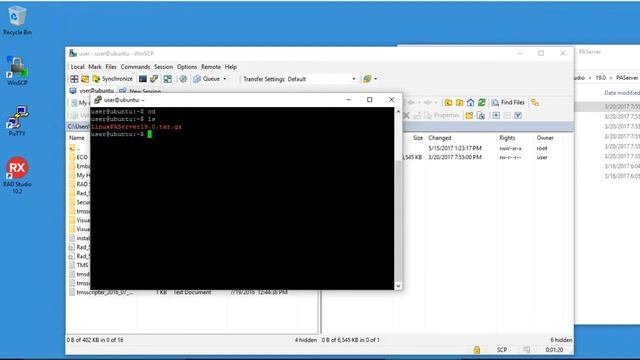 Creating a REST Server on Apache Linux using Delphi and TMS XData - Part 2: Installing PAServer смотреть онлайн