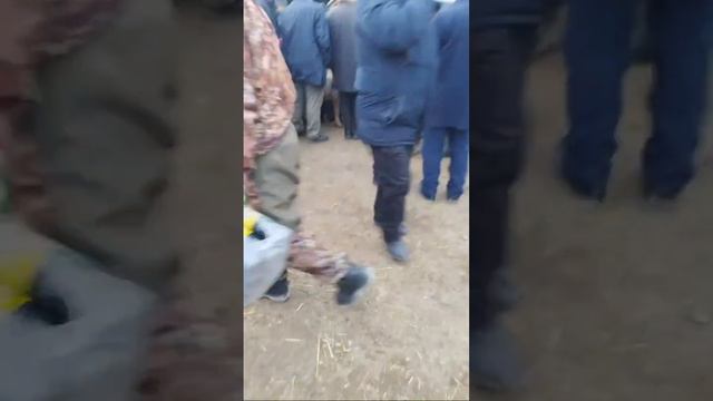 РАЗЗАКОВ ШААРЫНДАГЫ МАЛ БАЗАР смотреть онлайн