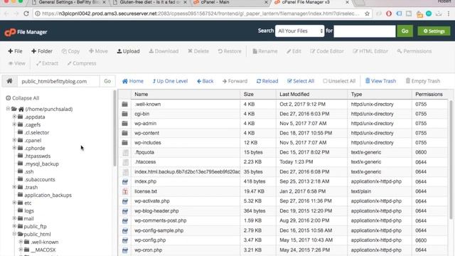 Mixed Content Wordpress - why no padlock? смотреть онлайн