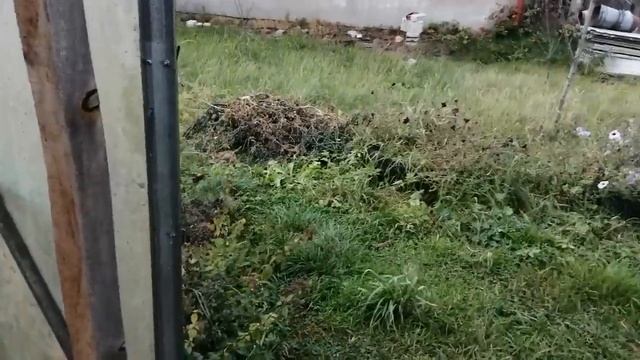 ОГОРОДНЫЕ РАБОТЫ!КУРЫ И ТЕЛЯТА!НАДО ВСЕ УСПЕТЬ!БУДЕТ ПРОСТО НЕЗЕМНАЯ КРАСОТА:ДЕЛАЮ КЛУМБЫ И ГРЯДКИ! смотреть онлайн