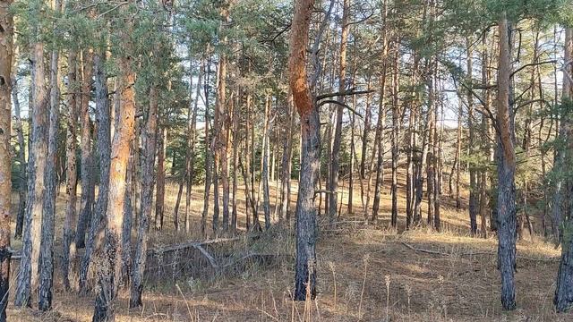 В какой день недели родился человек, так и сложится его судьба... смотреть онлайн